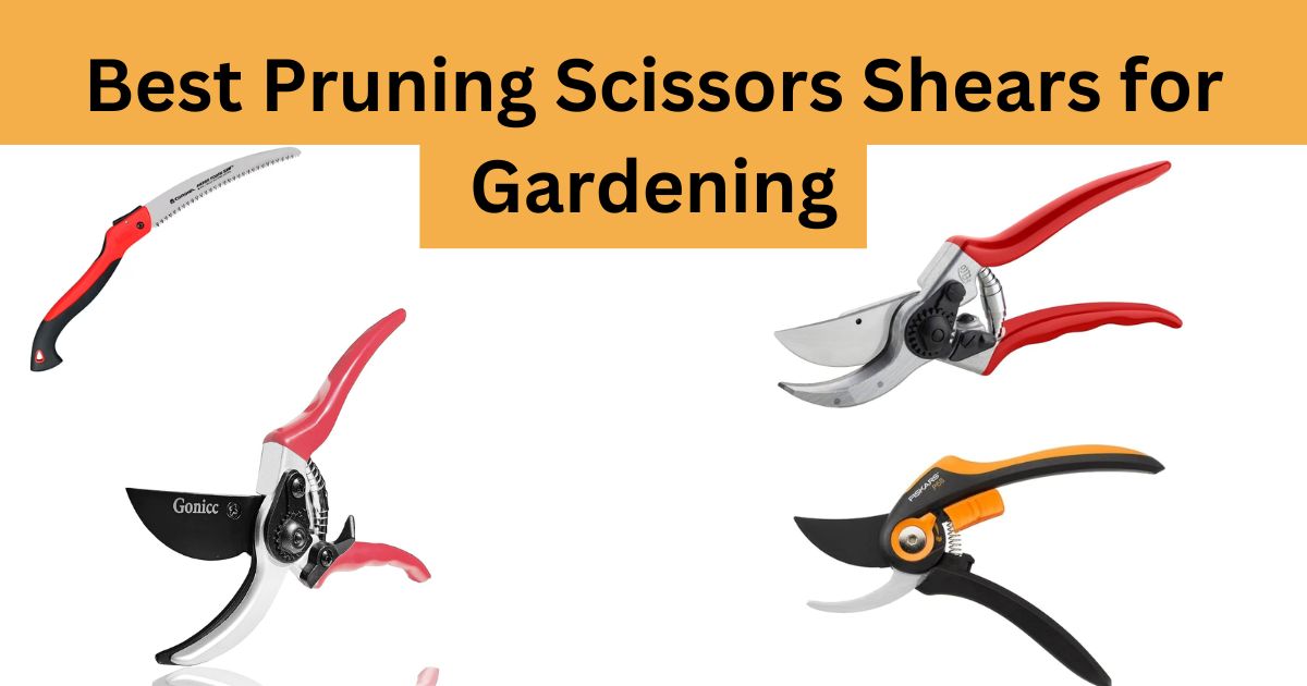 Best pruning scissors shears for gardening